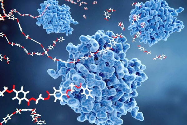 تصوير مبسط لتفاعل جزيئات البروتين مع سلاسل ال dna داخل الخلية